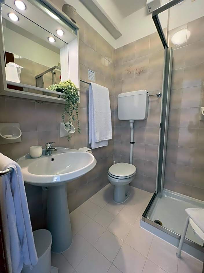 Hotel Benacus Torri del Benaco