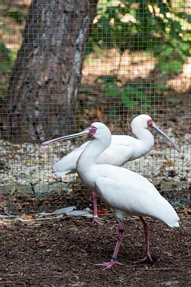 Vakantiepark Zevenbergen