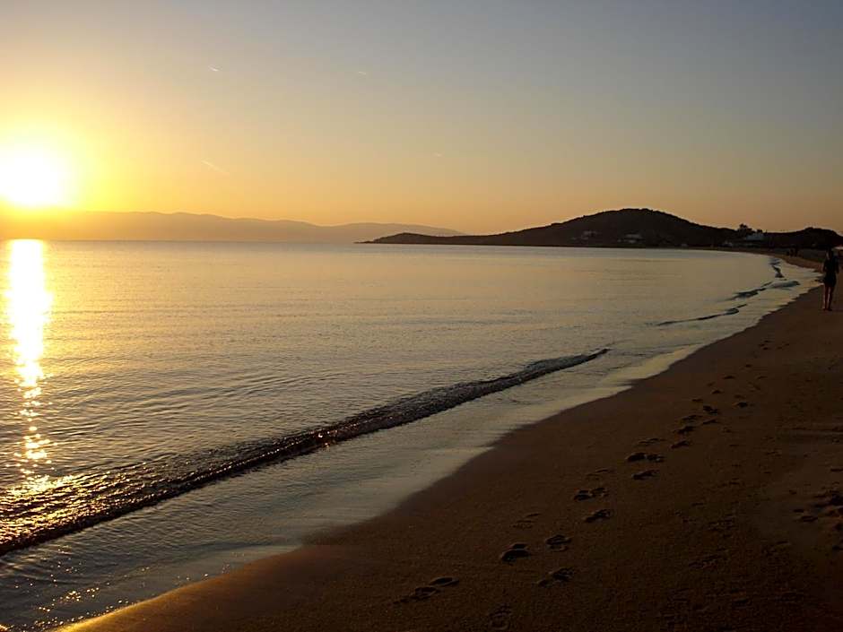 Naxos Island Hotel