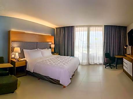 1 King Standard Accessible