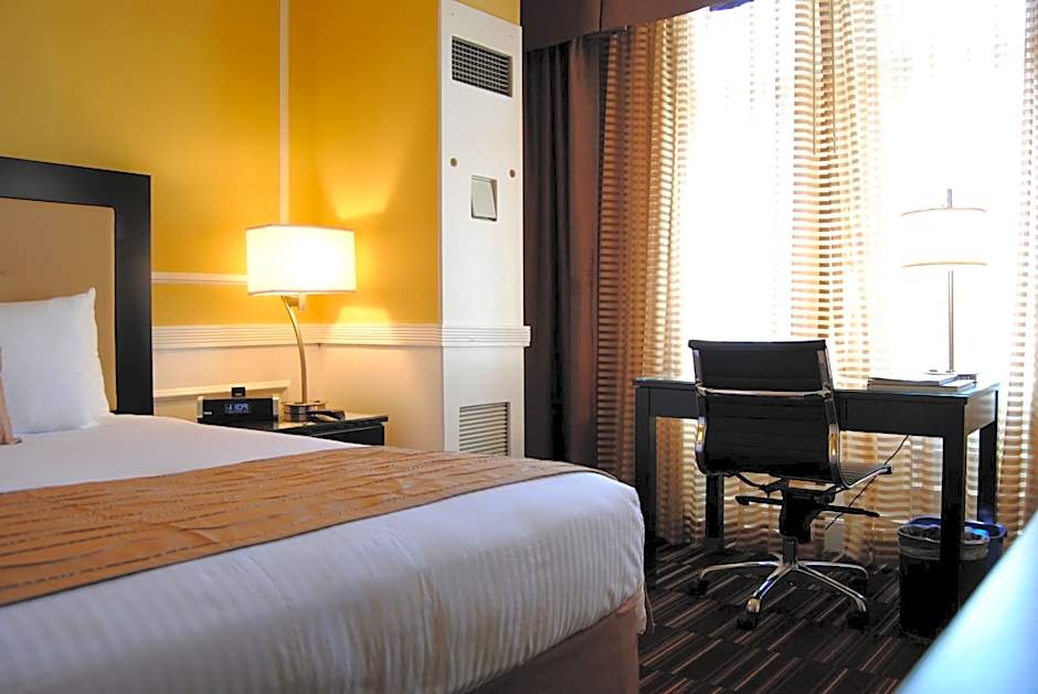 Photo 1 of 5 of Superior 1 Queen Bed
