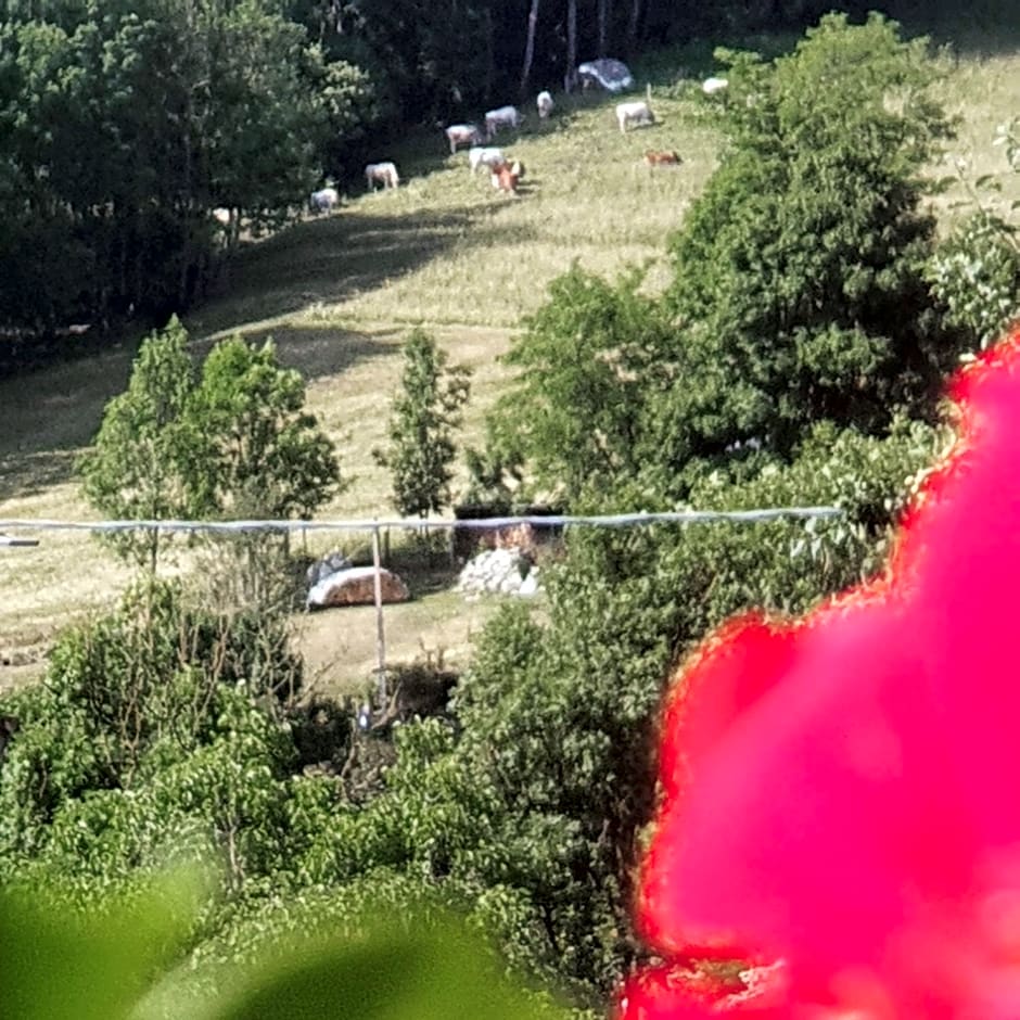 Antica casa occitana