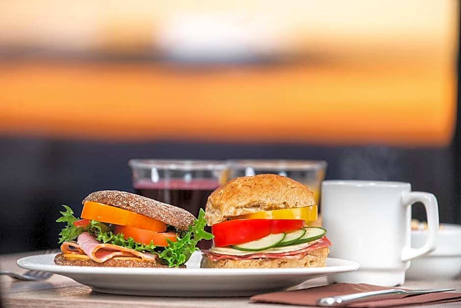 Hotel Levi Panorama & Levi Chalets