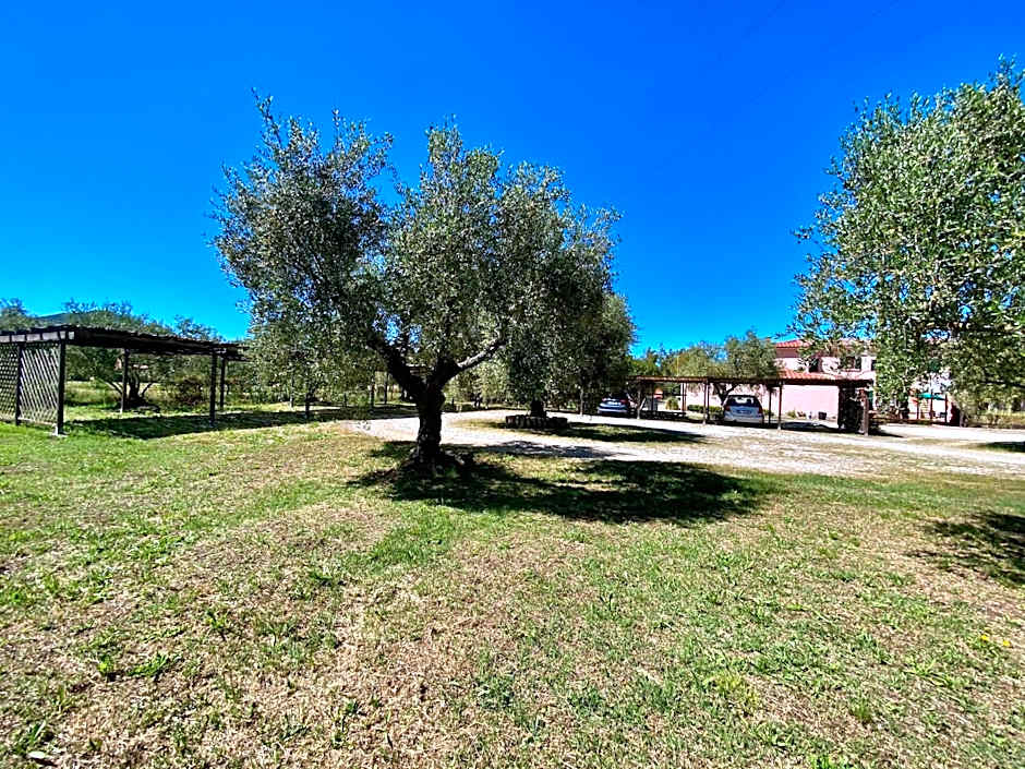 RESIDENCE TERME ISOLA D'ELBA SRL