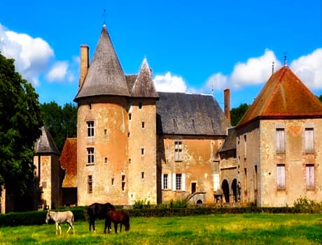 Château du Max