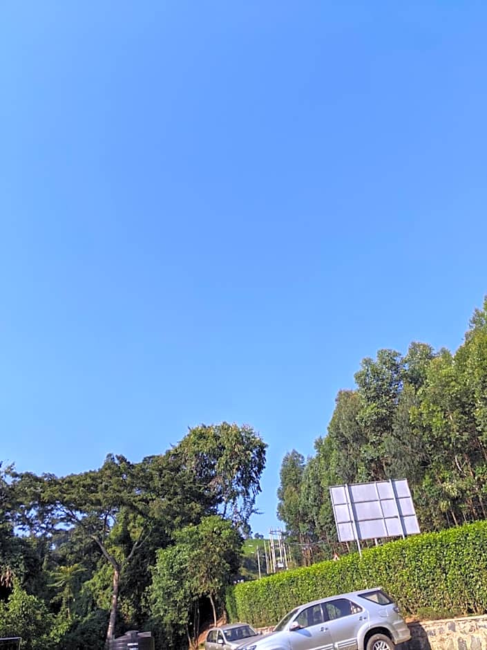 Chimpanzee Lodge