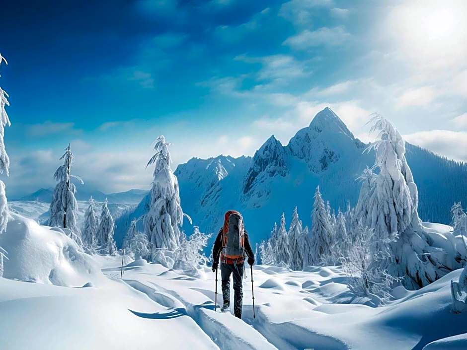 Hotel ibis budget Aix Les Bains - Grésy