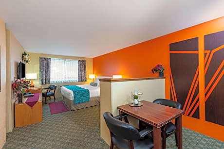 1 King Bed, Studio Suite, Non-Smoking