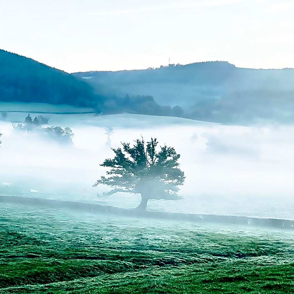 Silent Valley Bed & Breakfast