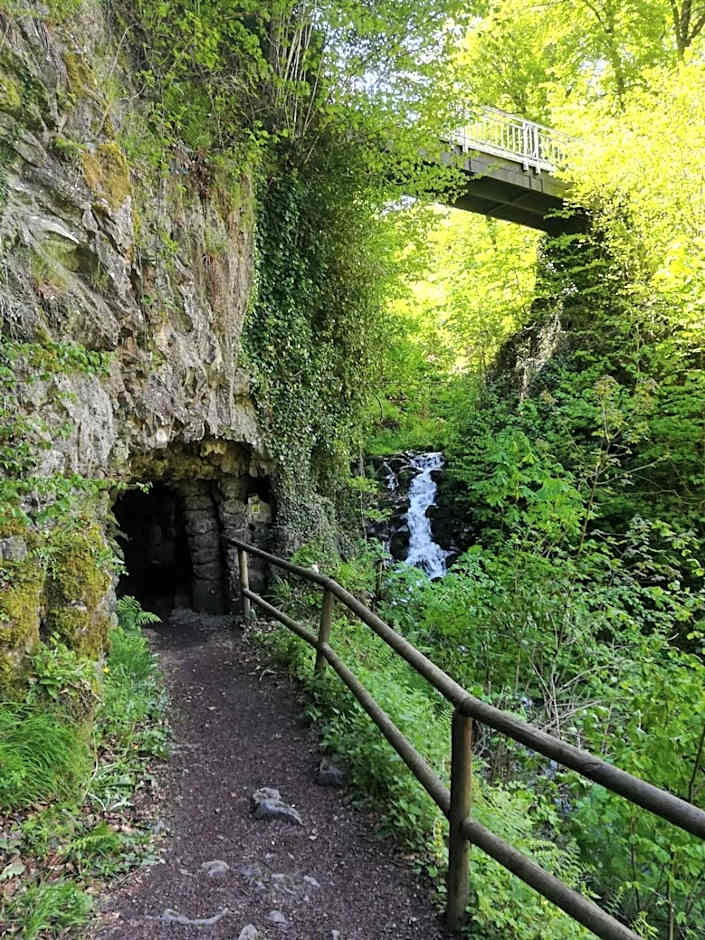 Hotel Fürstenhof Bad Bertrich