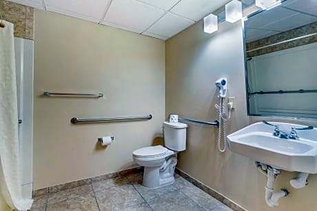 accessible - 1 king - mobility accessible, roll in shower, microwave and refrigerator, non-smoking, full breakfast