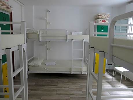 Bed in 6-Bed Mixed Dormitory Room