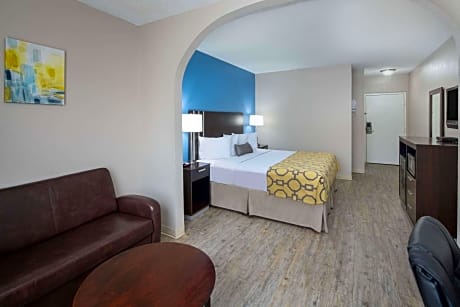 1 King Bed Non-Smoking