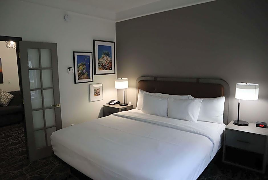 La Quinta Inn & Suites by Wyndham Houston Bush Iah South