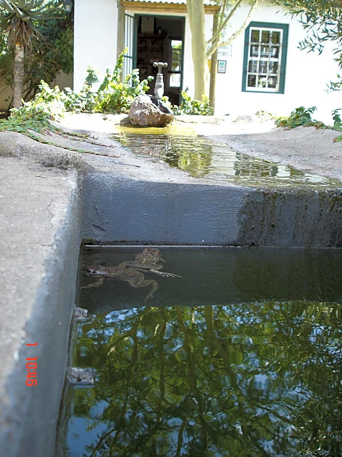 De Doornkraal Vinotel