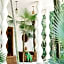 hotel Holistika Tulum