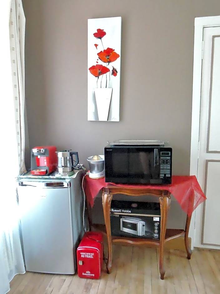 LES PINGOUINS DE LA MARNE