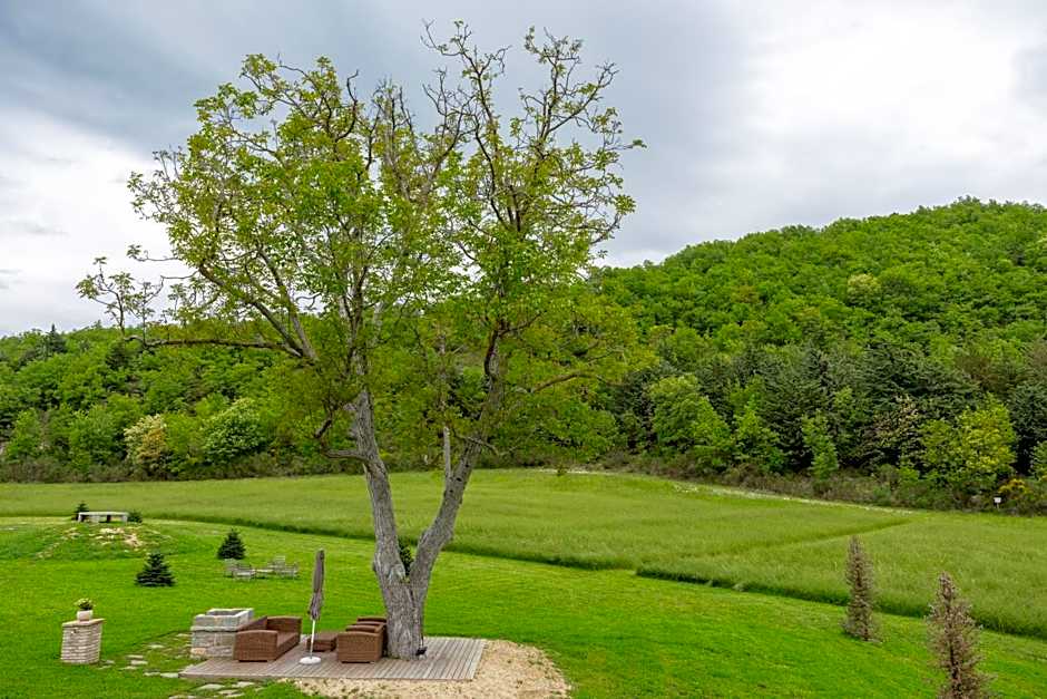 Aura Relais