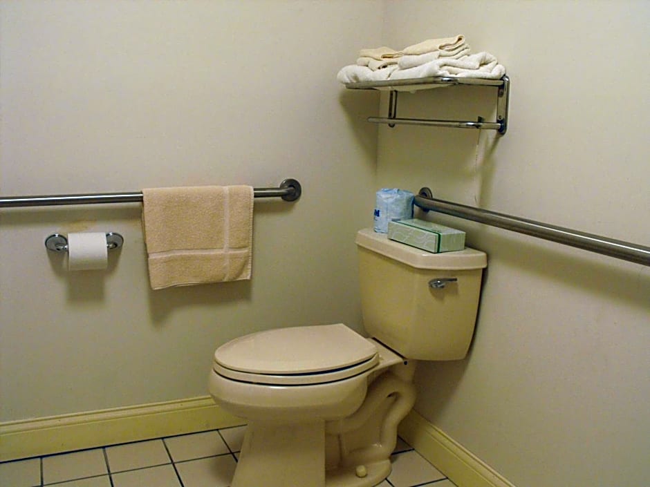 Americas Best Value Inn Three Rivers