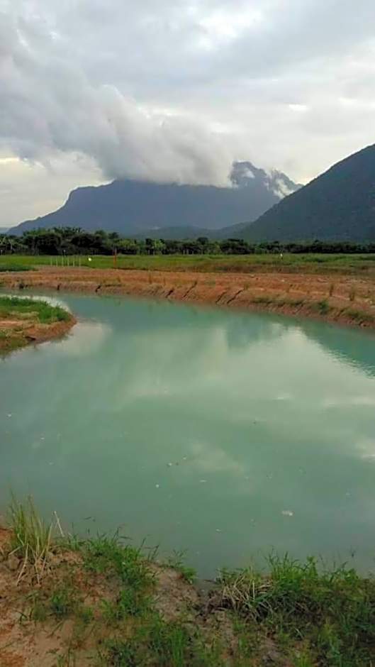 Ban Thung Talay Mok Chiangdao