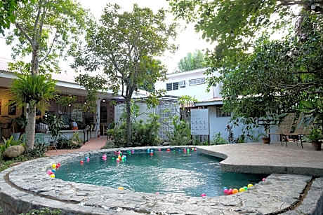 Mad Monkey Dumaguete