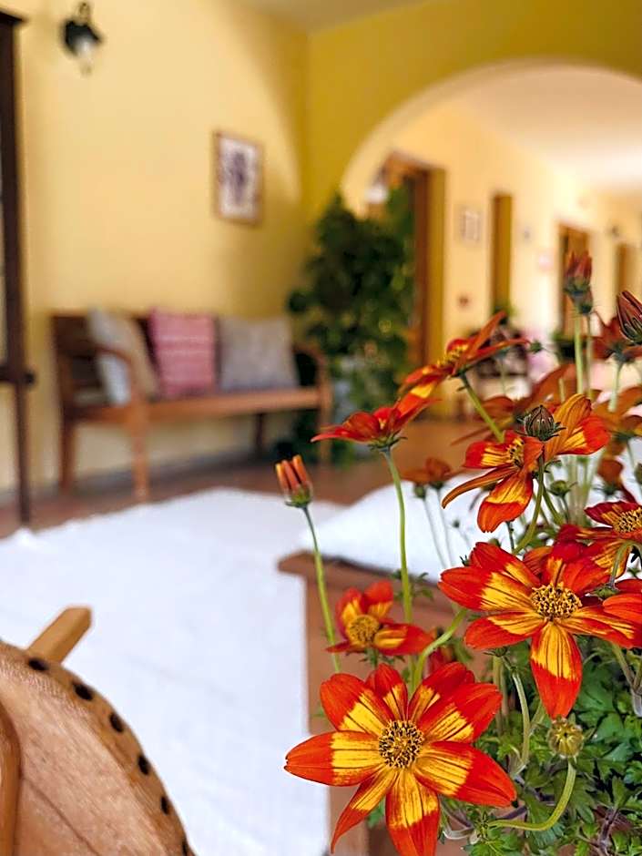 S'Arenada Hotel - Adults Only