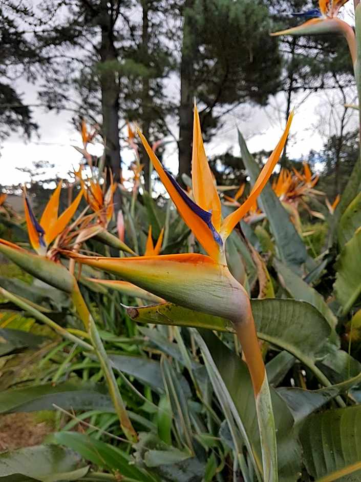 Wildekrans Country House