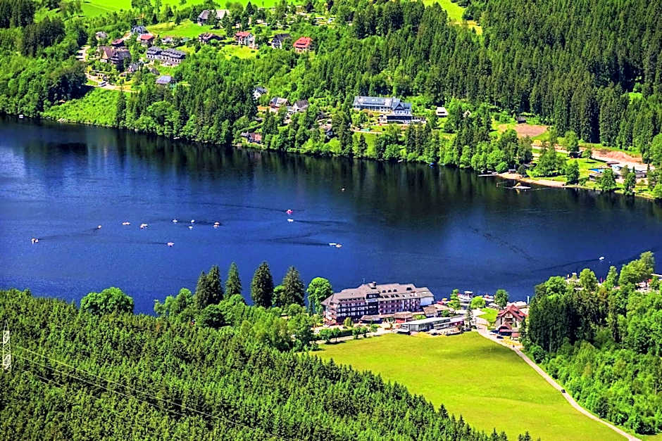 Maritim Titisee Hotel