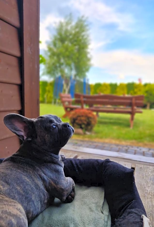 Domki Letniskowe Lawenda