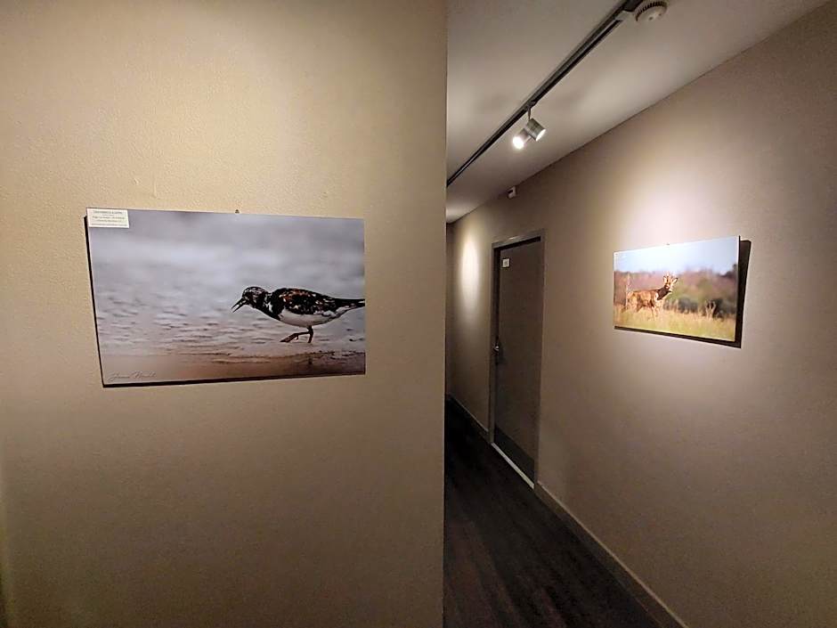 Logis Hôtel - Les Pasteliers