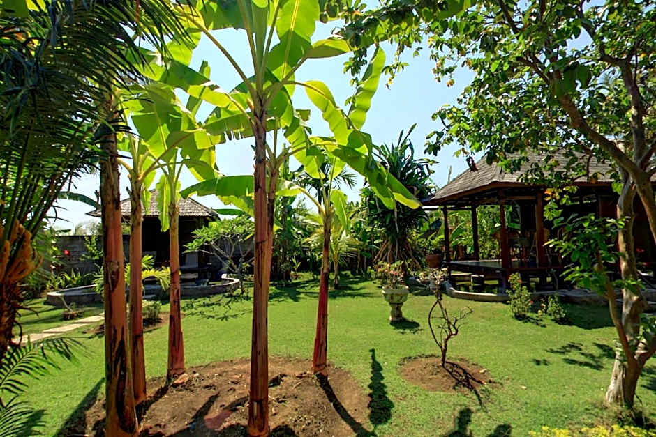 Sawah Lovina