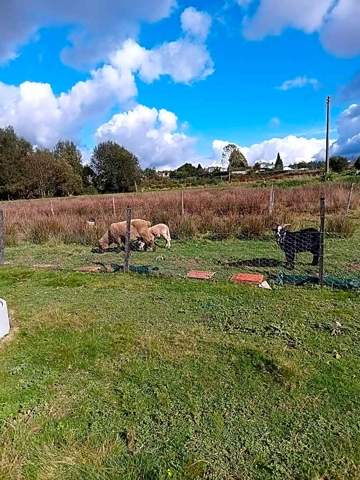 Casa da Avó Miquinhas