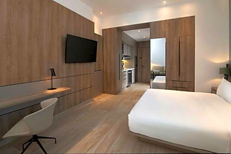 King Studio with Sofa Bed and Mountain View