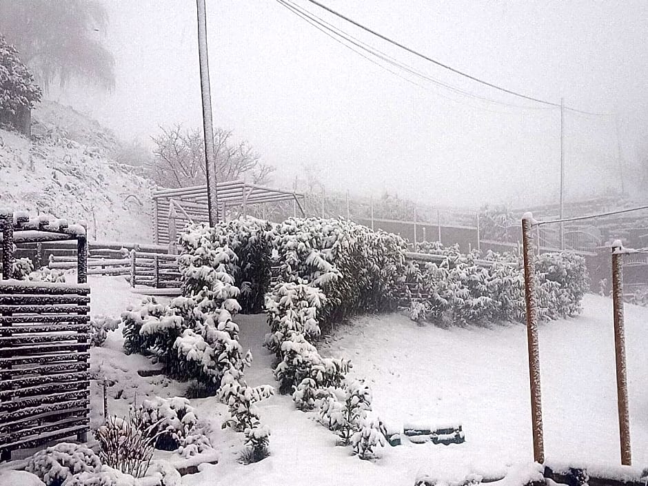 La Tana dello Scoiattolo - Adults Only