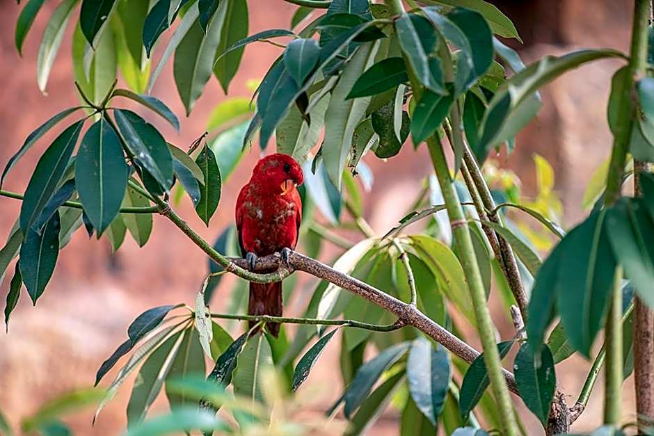 Sparks Forest Adventure Sukabumi