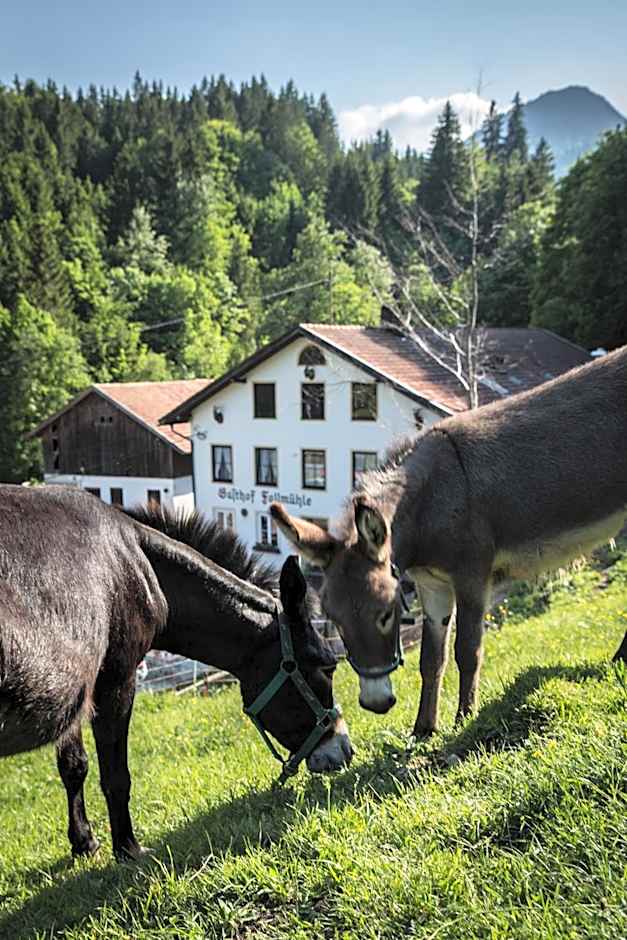 Gasthof Fallmühle