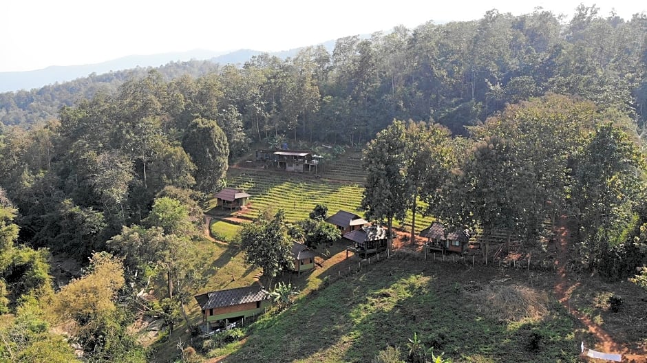 Chiang Mai Elephant Friends