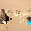Oasis Tilogui-Luxury Hotel Restaurant and Desert Excursions In Zagora
