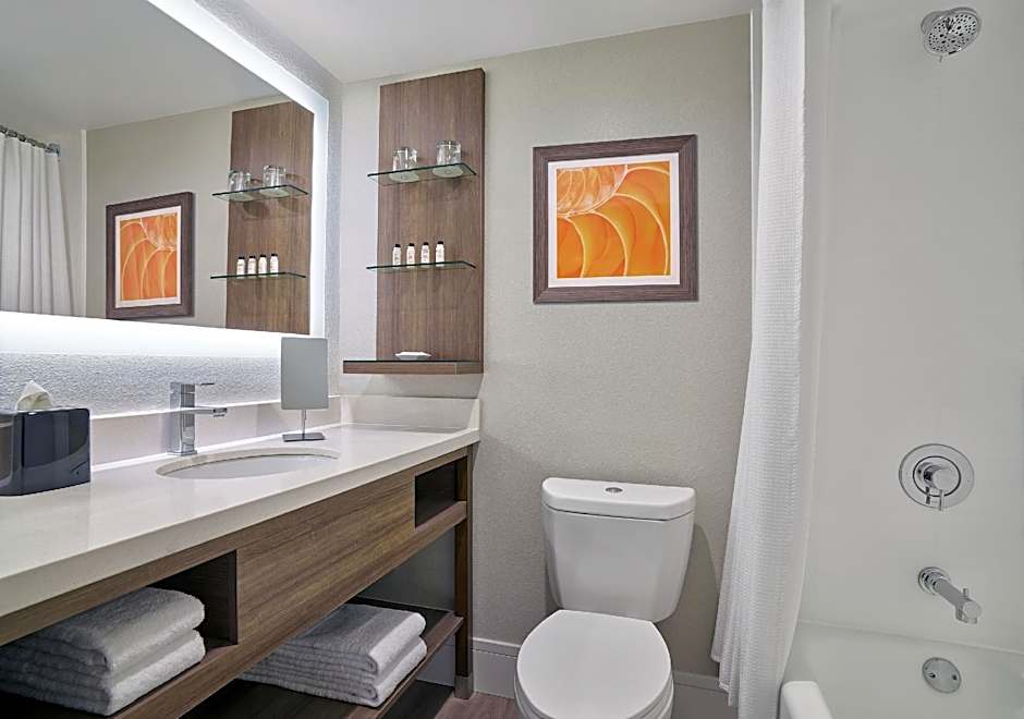 Delta Hotels by Marriott Chicago Willowbrook
