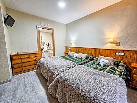 Budget Triple Room