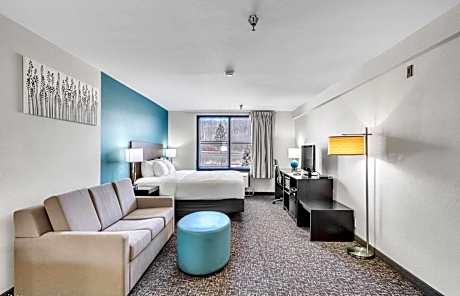 1 King Bed, Suite, Nonsmoking, Accessible