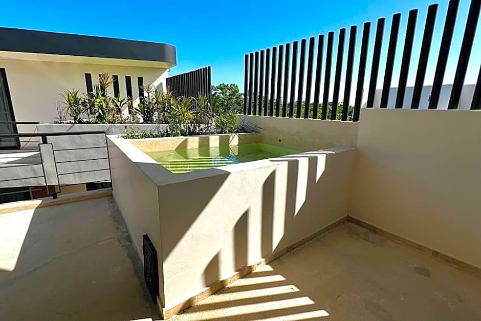 Spacious Penthouse with pool