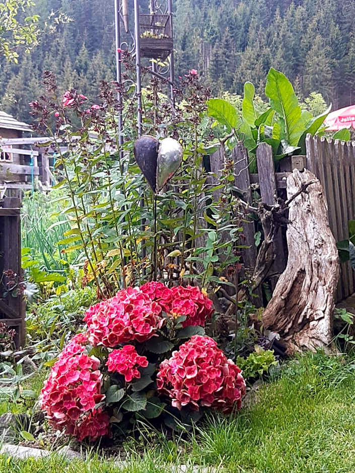 Bed & Breakfast Dolomiti Bey Haus Pinter