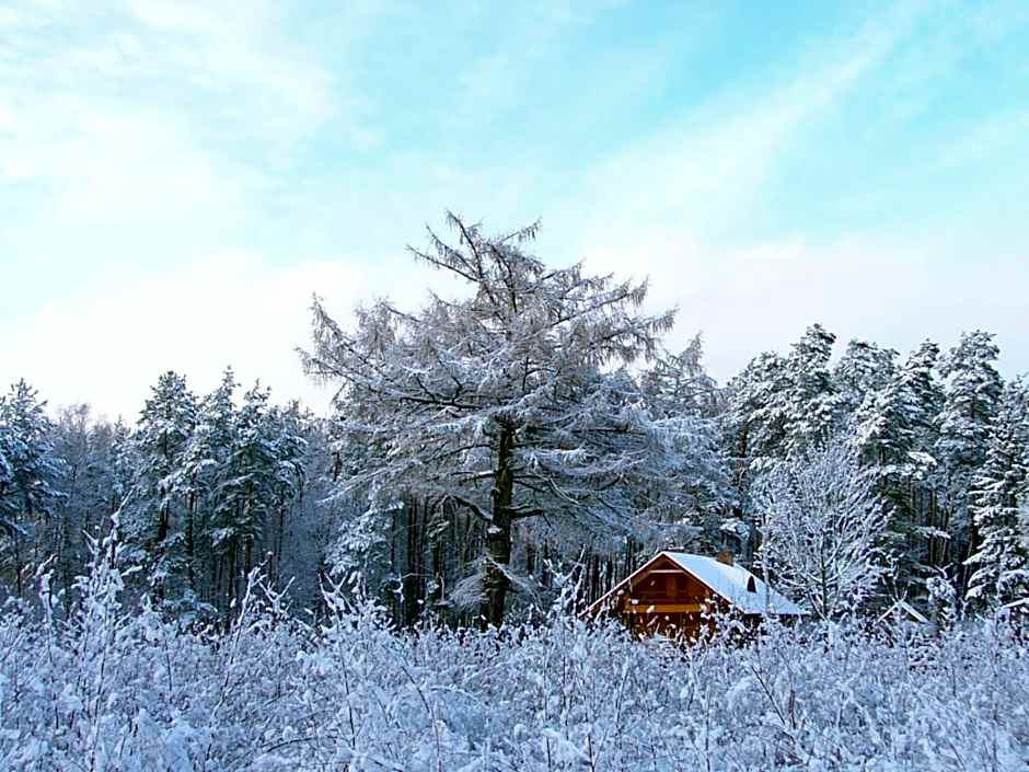 Begedziu misko sodyba