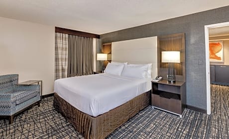 Junior King Suite with Sofa Bed