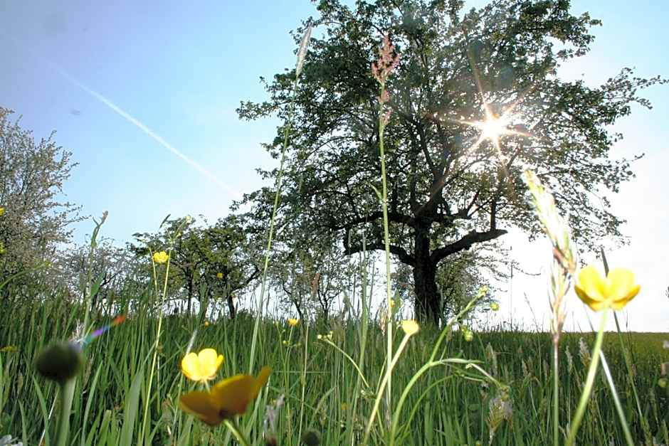 Hotel-Restaurant Teuschler-Mogg Bad Waltersdorf inklusiv Genusscard