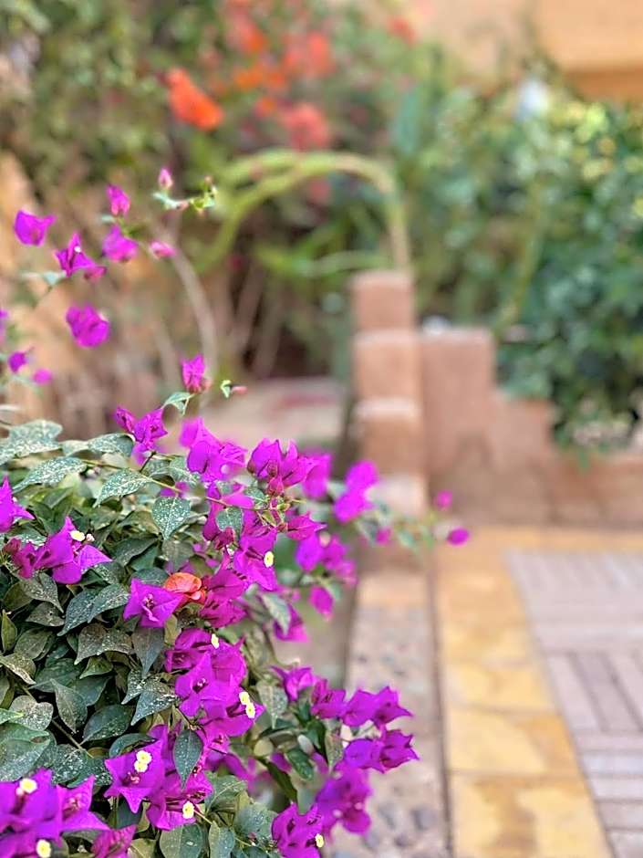 Riad Dar Zaouia