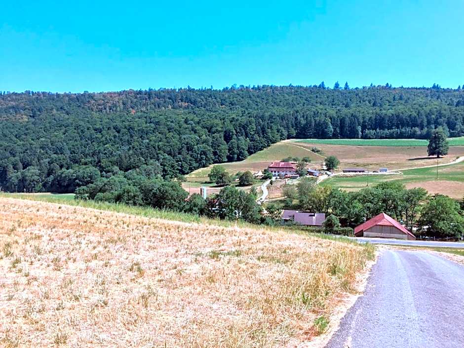 Chez Dodo 2534 Orvin Le Foncet