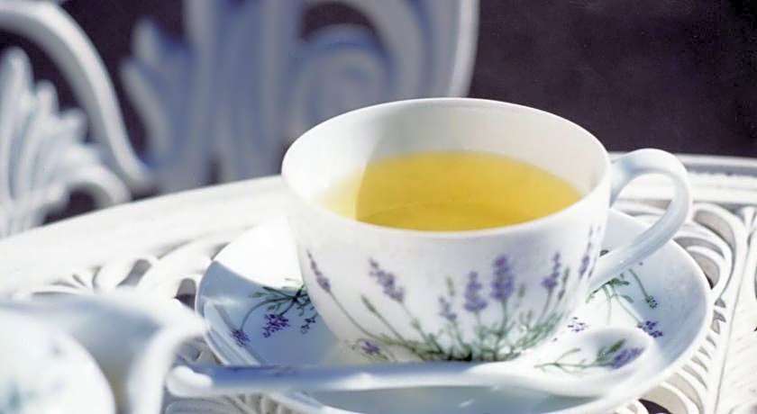 Kawaguchiko Lakeside Hotel