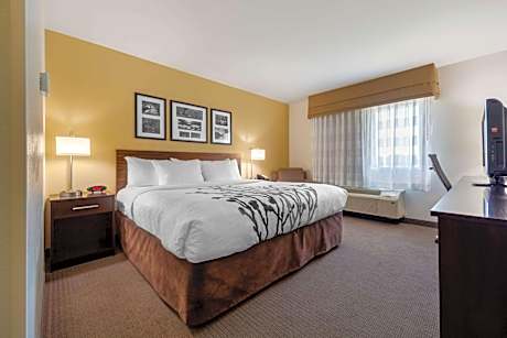 Standard King Room - Non-Smoking